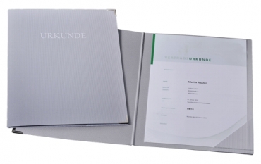 Urkundenmappe A4 silber Karton mit Eckfach