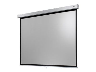 celexon Rolloleinwand Professional Plus 4:3, 280 x 210 cm Projektionsfläche