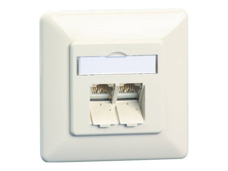 BTR Datendose E-DAT C6A, Cat.6A (ISO), 2-fach, Aufputz, reinweiß RAL 9010