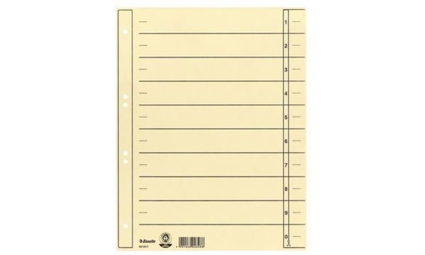 Esselte Karton-Trennblätter, DIN A4 Überbreite, chamois