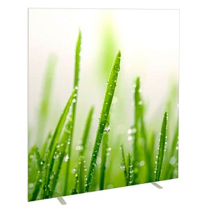 PAPERFLOW Trennwand easyScreen ES160014 Gräser bunt 160,0 x 173,2 cm