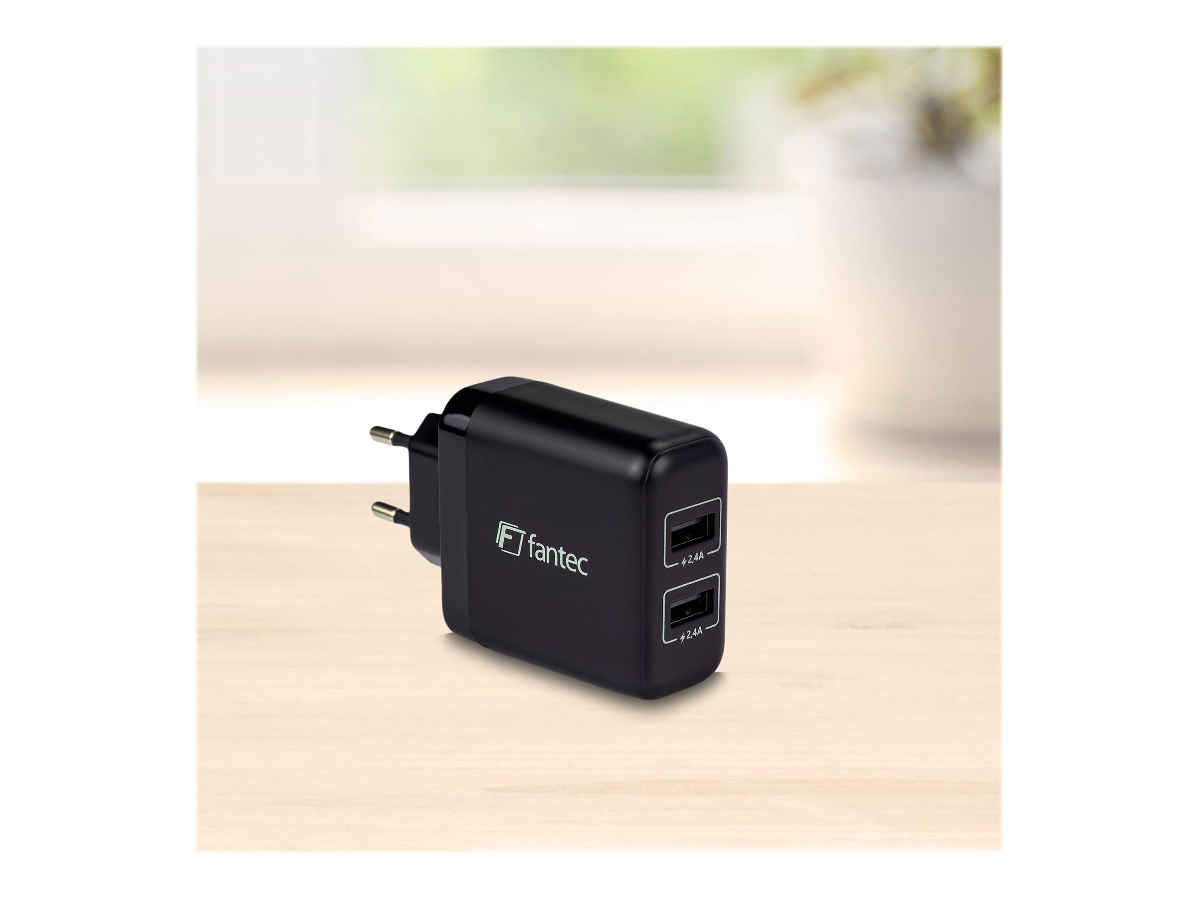 FANTEC SC-A244 Smart Charge - USB-Ladegerät mit 24W und 2x USB-Port Typ-A