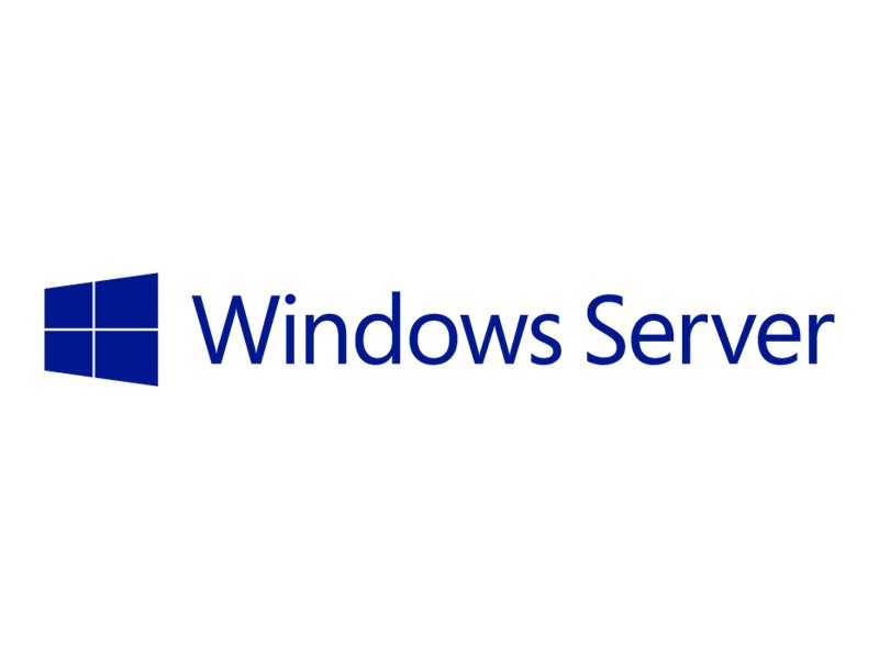 MICROSOFT OVL-GOV Windows Svr CAL License/Software Assurance Pk 1 License Addit