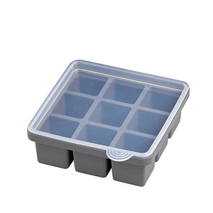 APS Eiswürfeldose mit Deckel, transparent / grau, 2er Set