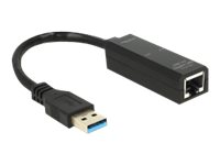 DeLOCK  USB 2.0 A/RJ-45 LAN-Adapter