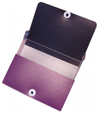 Visitenkarten-Etui / Visitenkartentaschen / Sichttaschen für 150 Karten, quer, aus PP,  mit Klappe und Druckknopf, Farbe: transparent farbig sortiert - 24 Etuis