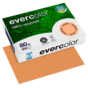 Kopierpapier Evercolor lachs, A4 80 g/qm, aus 100 % Altpapier