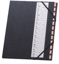 extendos Pultordner 48.12, 12 Fäche r, mit Eckspannergummi (335479400)