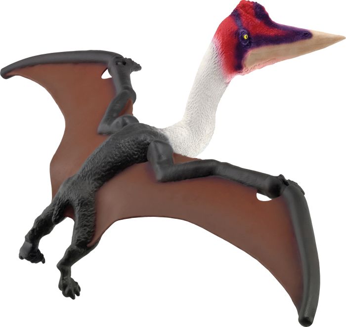 Quetzalcoatlus Quetzalcoatlus