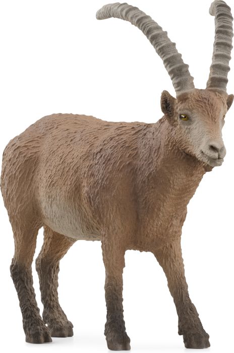 Steinbock