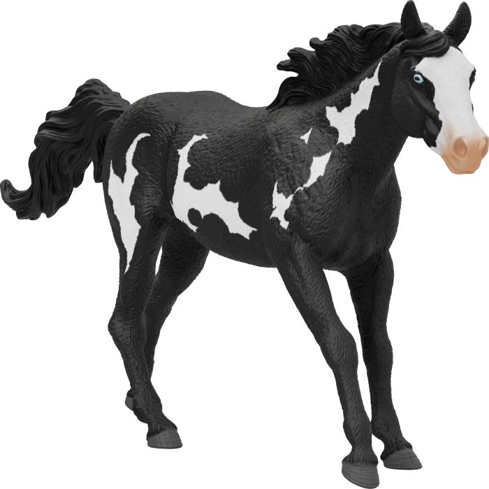 Paint Horse Wallach
