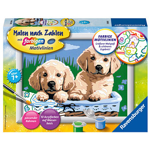 Ravensburger Malen-nach-Zahlen Süße Hundewelpen mehrfarbig