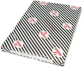 CANSON Zeichenpapier, DIN A3, hocht ransparent, 90/95 g/qm (5011125)