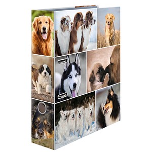 HERMA Motivordner "Animals", DIN A4, Hunde
