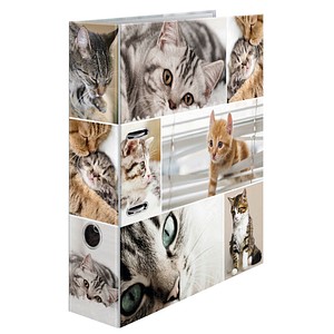 HERMA Motivordner "Animals", DIN A4, Katzen