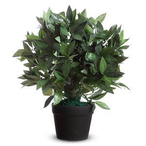 PAPERFLOW Kunstpflanze "Lorbeerbaum", Höhe: 500 mm