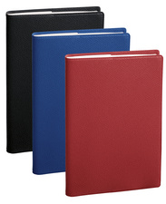 QUO VADIS Agenda Président S, 210 x 270 mm, 2025, assorti