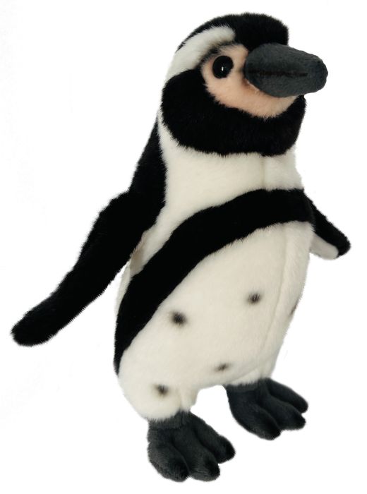 Humboldt-Pinguin, ca. 25cm