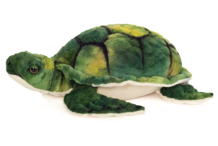 Wasserschildkröte, ca. 23cm