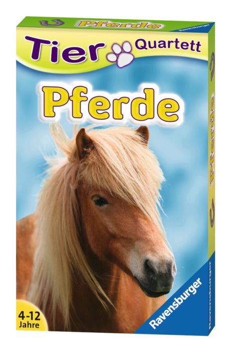 Quartett Pferde & Ponys