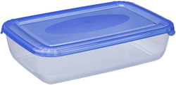 plast team Gefrierdose Polar, 3,0 Liter, blau, rechteckig