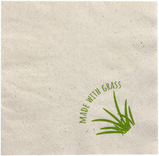 PAPSTAR Lunch-Servietten, 330 x 330 mm, 2-lagig, natur