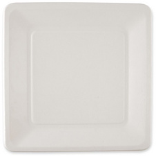 NATURE Star Zuckerrohr-Teller, quadratisch, 260 x 260 mm