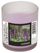 FLAVOUR by Gala Duftkerze im Glas "Lavender