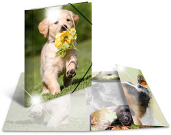 HERMA Sammelmappe A4 Glossy Hund Polypropylen
