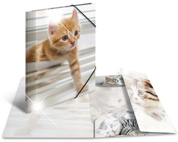 HERMA Sammelmappe A4 Glossy Katze Polypropylen