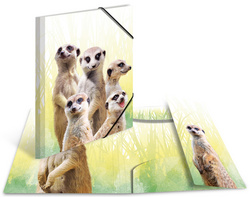 HERMA Eckspannermappe Exotische Tiere, A4, Erdmännchentruppe