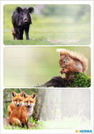 HERMA Buchetiketten VARIO "Waldtiere
