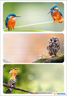 HERMA Buchetiketten VARIO "Heimatvögel