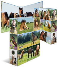 HERMA Ordner A4 Pferdewiese