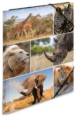 HERMA Sammelmappe A4 Afrika Tiere Pappe HERMA Sammelmappe A4 Afrika Tiere Pappe