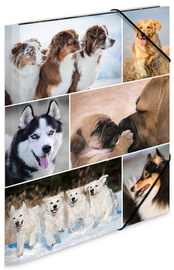 HERMA Sammelmappe A3 Hunde Pappe