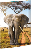 RNK Verlag Zeichnungsmappe "Elefant", DIN A3