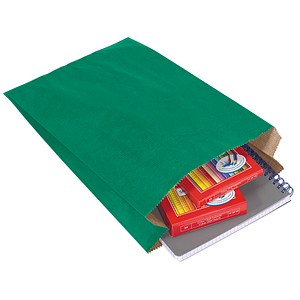 100 VP Faltenbeutel grün 20,0 x 32,0 cm