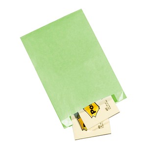 100 VP Faltenbeutel hellgrün 15,0 x 21,0 cm