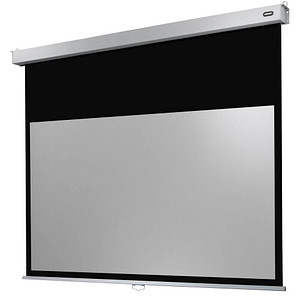 celexon Rolloleinwand Professional Plus 16:10, 220 x 137 cm Projektionsfläche