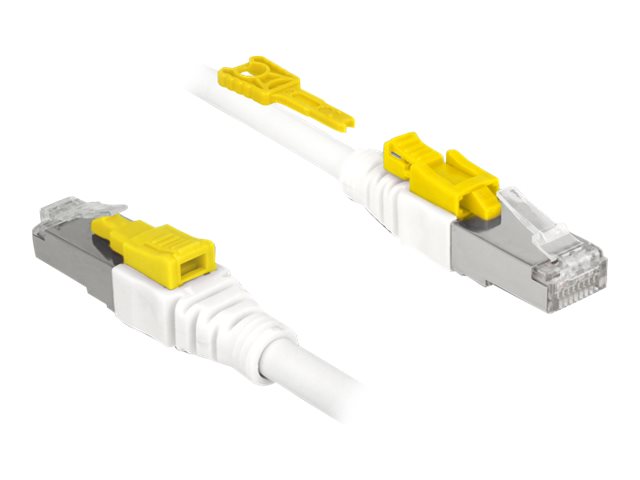 DELOCK RJ45 Kabel Cat 6A Secure  2.0m St/St RJ45 Kabel Cat 6A Secure  2.0m St/St