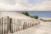 PAPERFLOW Wandbild "Dünen", aus Plexiglas