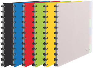 LEITZ Esselte Sichtbuch VIVIDA, A4, mit 25 Sichthüllen, sortiert aus PP, Sichth