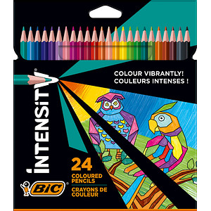 24 BIC INTENSITY Buntstifte farbsortiert