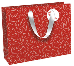 Clairefontaine Weihnachts-Geschenktüte "Lutins", groß