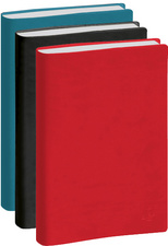 EXACOMPTA Agenda "La journée planifiée 21", 2025, noir