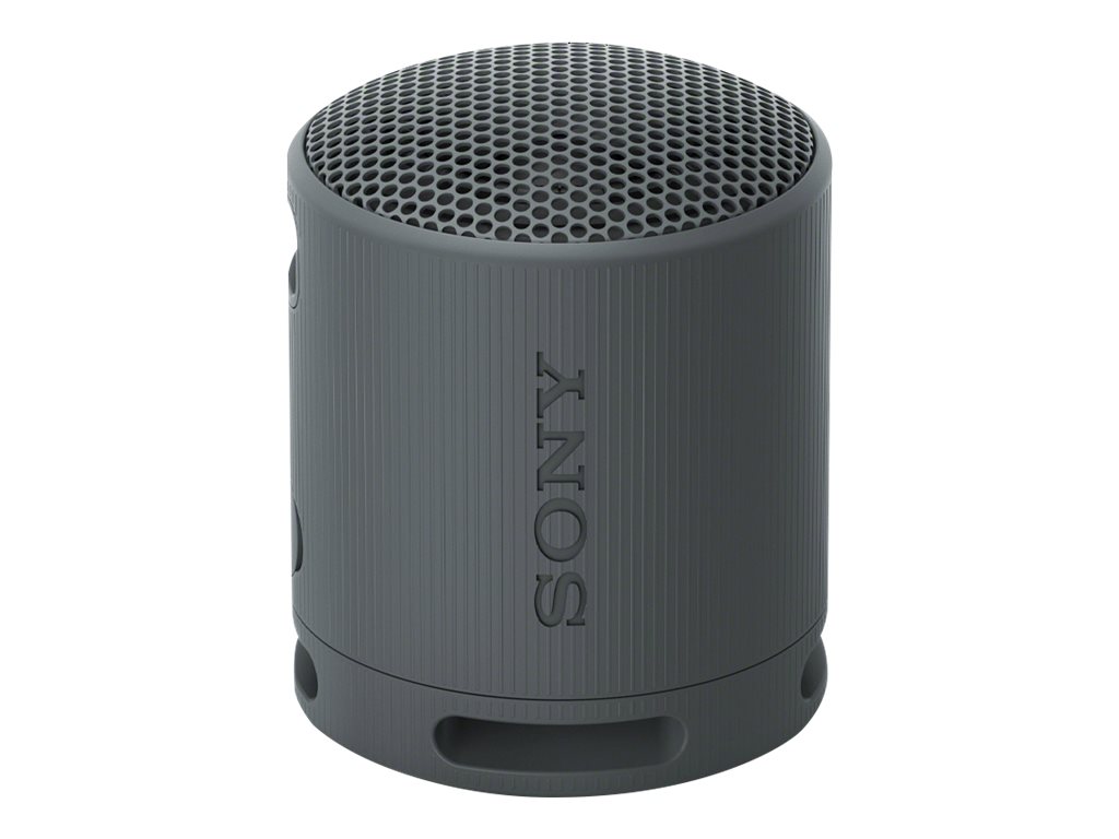 SONY SRS-XB100 Bluetooth-Lautsprecher schwarz