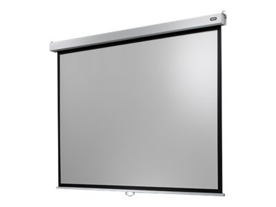 celexon Rolloleinwand Professional Plus 4:3, 220 x 165 cm Projektionsfläche