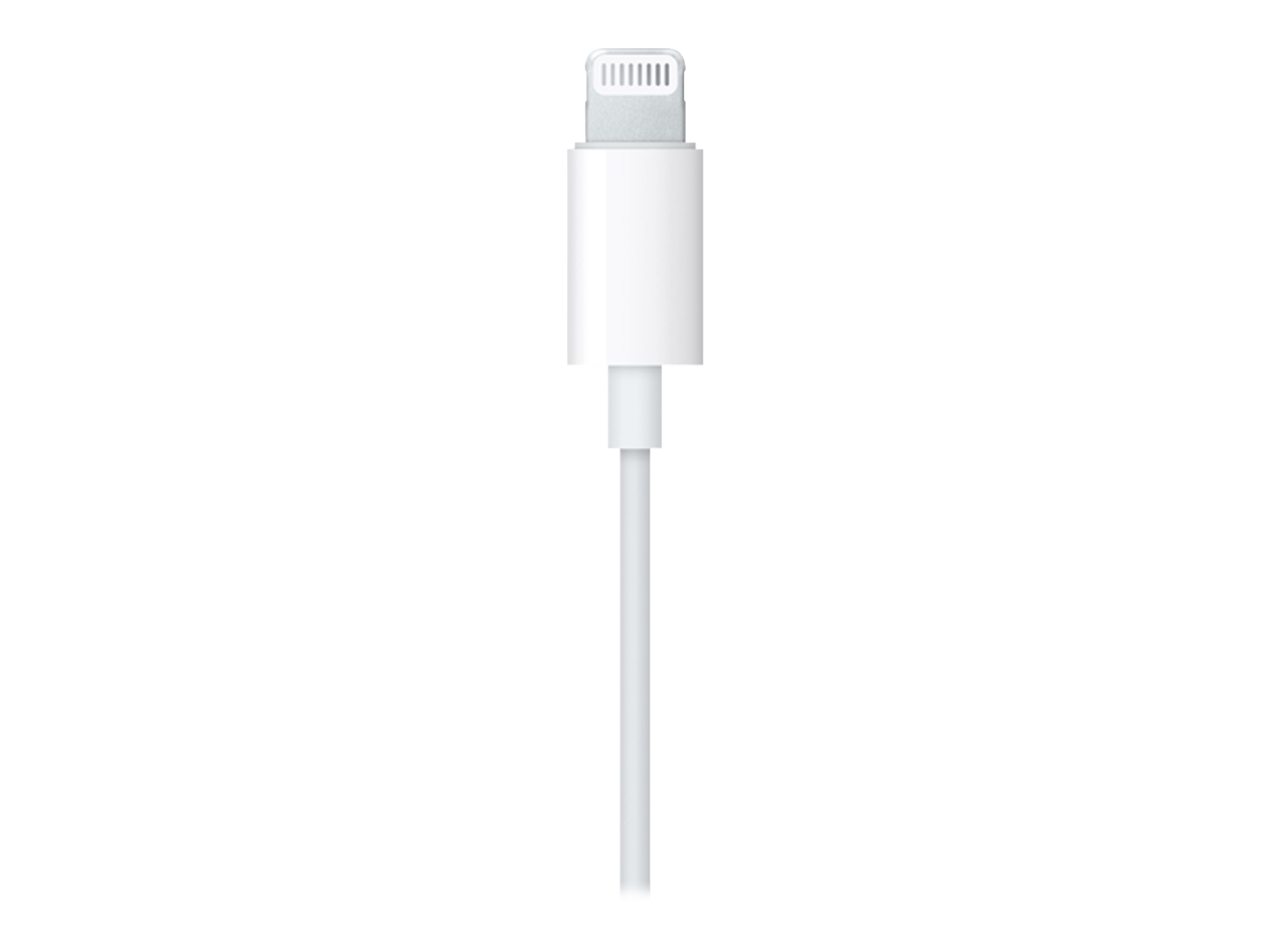 APPLE EarPods with Lightning Connector