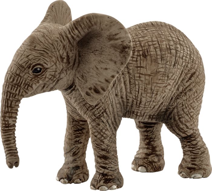 Afrikanisches Elefantenbaby, Nr: 14763